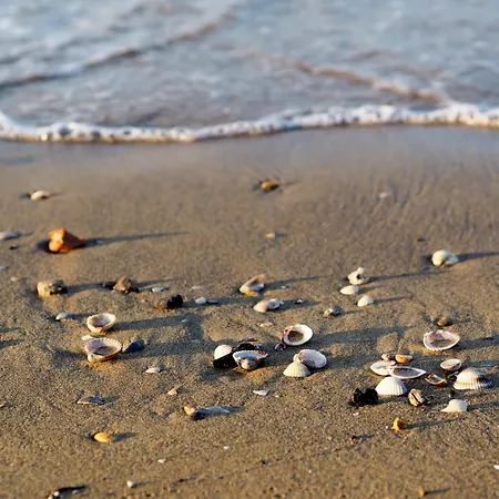 In 24575 Vakantiehuis