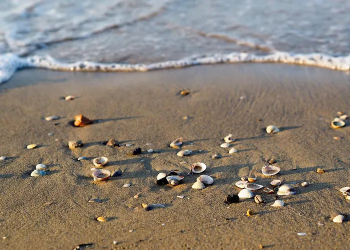 In 24575 Vakantiehuis